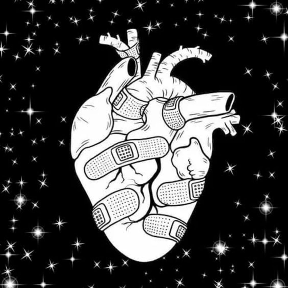 Meet your Posher, Latisha